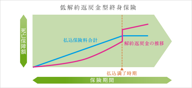 低解約返戻金型終身保険