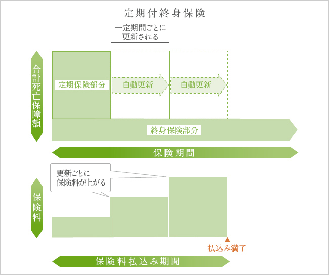 定期付終身保険