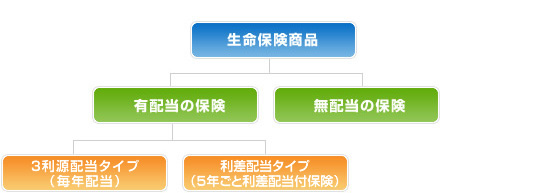 生命保険商品 → 有配当の保険（3利源配当タイプ・利差配当タイプ）・無配当の保険